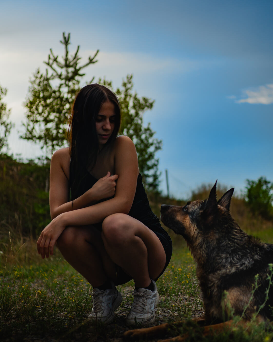 Hund blickt zu seinem Menschen auf
